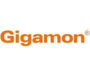 Gigamon